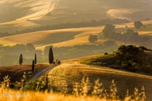 Paysage typique de la Toscane